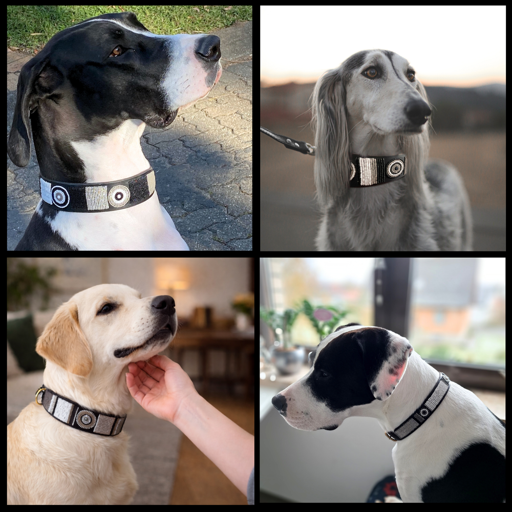 Collage of four dogs wearing various sizes and widths of black white and silver handmade beaded leather collars and leashes from The Maasai Collection Moonlight design