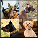 Collage of four dogs wearing various sizes and widths of brown black and gold handmade beaded leather collar from The Maasai Collection