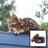 Cat Collar - Pride Design