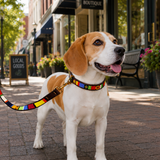Beagle dog wearing matching beaded leather collar and leash in multi-coloured Sundance design from The Maasai Collection