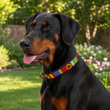 Dog Collar for Doberman