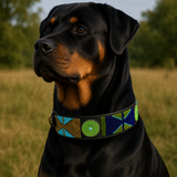 Dog Collar for Rottweiler