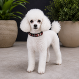 Dog Collar for Miniature & Toy Poodles