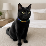 Cat Collar - Peacock Design