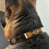 Dog Collar for German Shepherd