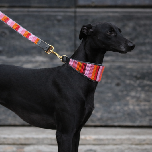 Hound dog with pink and gold extra wide lurcher beaded leather collar and leash in Flamingo design handmade by The Maasai Collection