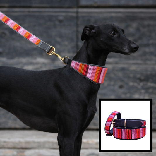 dog wearing Pink and Gold Flamingo design handmade beaded leather collar and leash from The Maasai Collection