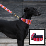 dog wearing Pink and Gold Flamingo design handmade beaded leather collar and leash from The Maasai Collection