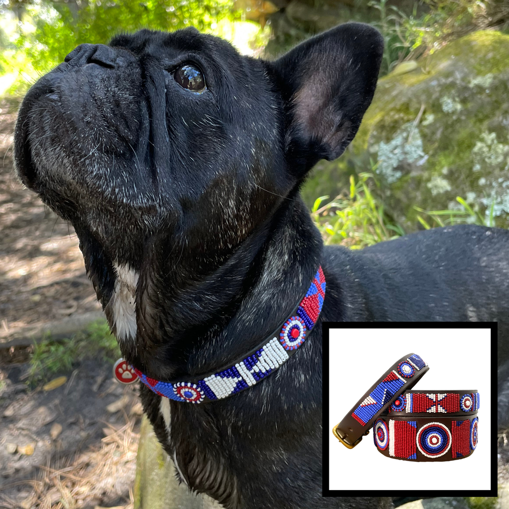 dog wearing red white and blue 'Liberty design' handmade beaded leather collar from The Maasai Collection