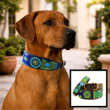 dog wearing blue green and gold handmade beaded dark brown leather collar from The Maasai Collection in their Peacock design