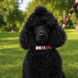 Dog Collar for Standard Poodle