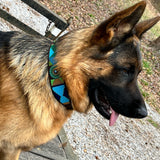 Dog Collar for German Shepherd