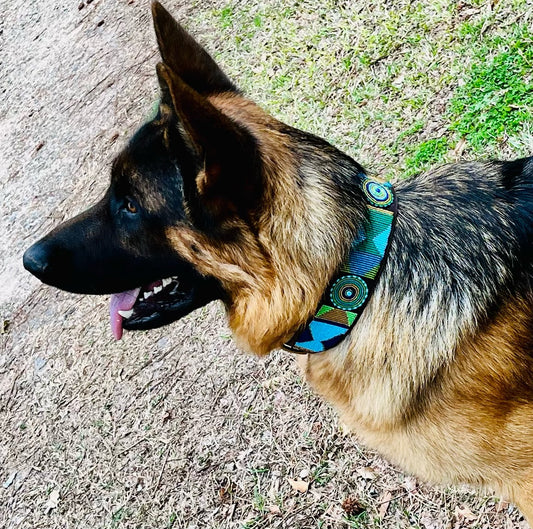 Dog Collar for German Shepherd