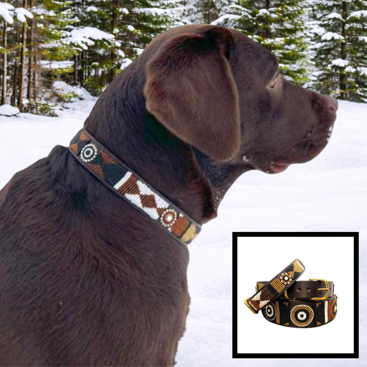 Why We Believe a Premium Leather Buckle Dog Collar Is the Best Choice for Your Dog