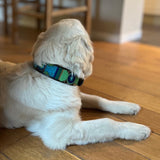Dog Collar for Golden Retriever