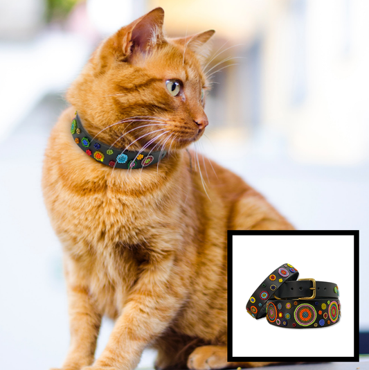 Cat Collar - Solaris Design
