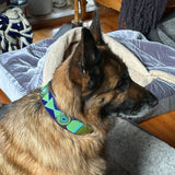 Dog Collar for German Shepherd