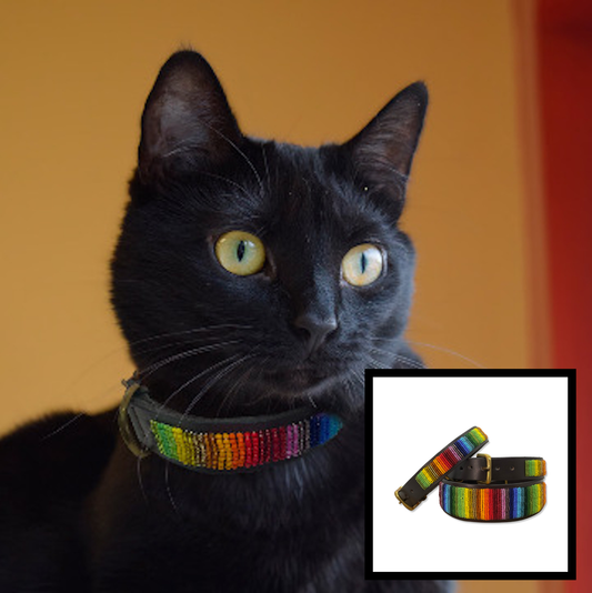 Cat Collar - Rainbow Design