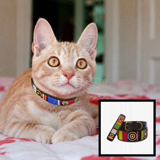 Cat Collar - Sundance Design