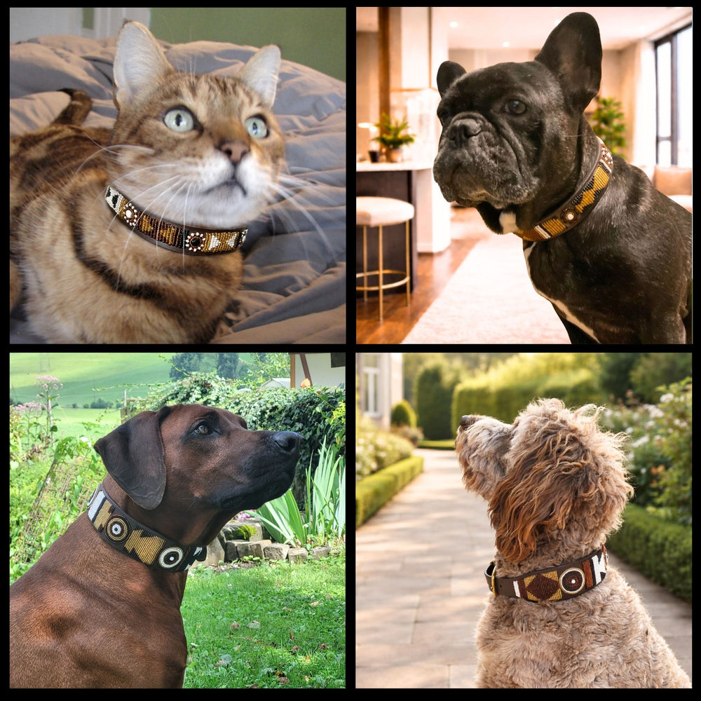 Collage of three dogs and a cat wearing various sizes and widths of brown black and gold handmade beaded leather collar from The Maasai Collection 