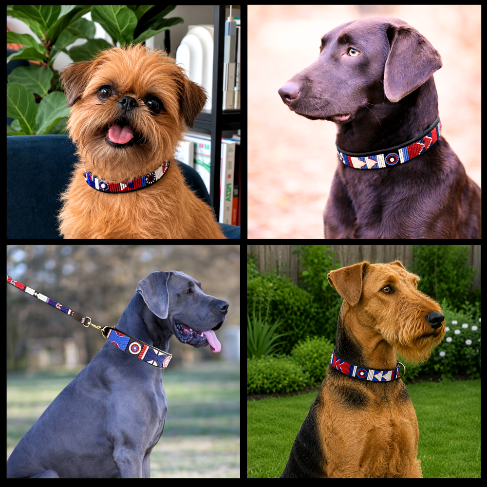 Collage of four dogs wearing various sizes and widths of the red white and blue Liberty design handmade beaded leather collars and leashes from The Maasai Collection