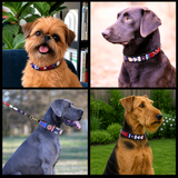 Collage of four dogs wearing various sizes and widths of the red white and blue Liberty design handmade beaded leather collars and leashes from The Maasai Collection