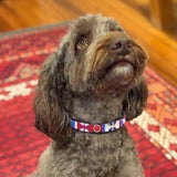 Dog Collar for Cavoodle