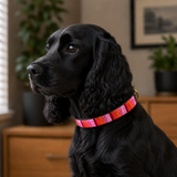 Pink Flamingo beaded leather masai dog collar on black cocker spaniel