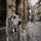 elegant hound dog with black white and silver beaded leather collar and leash in Moonlight design handmade from The Maasai Collection 