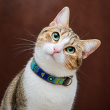 Cat Collar - Peacock Design