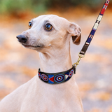Dog Collar for Italian Greyhound
