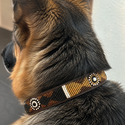Dog Collar for German Shepherd