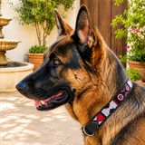 Dog Collar for German Shepherd