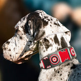 Great dane wearing a red white and black beaded leather collar