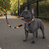Dog Collar for French Bulldog