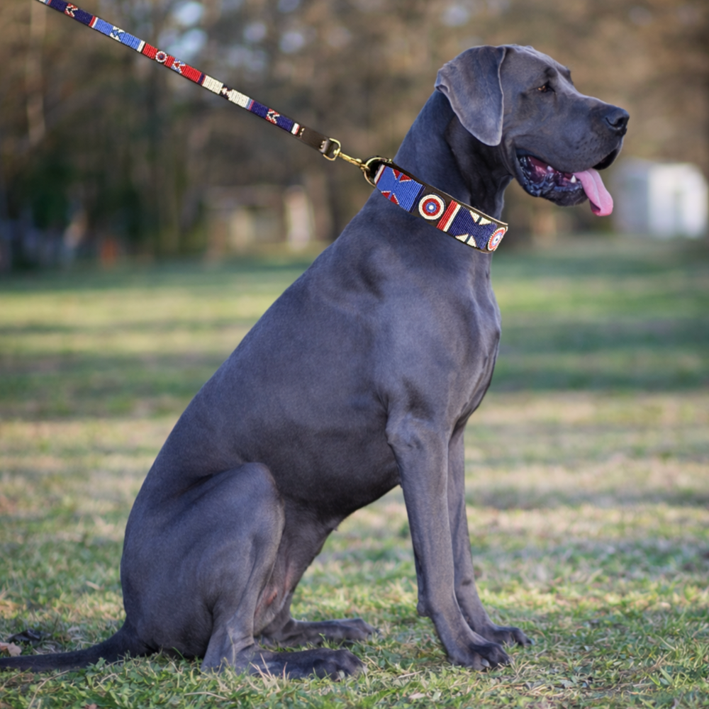 Large dog with red white and blue beaded leather collar and leash in Liberty design handmade by The Maasai Collection 