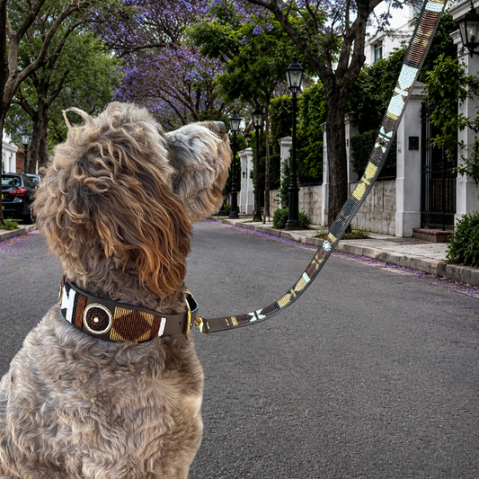 Dog Leash - Nature