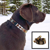 dog wearing brown black and gold handmade beaded leather collar from The Maasai Collection 