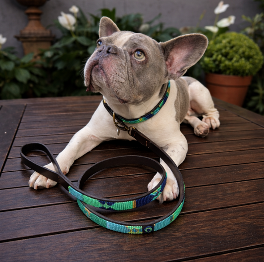 Dog Collar for French Bulldog