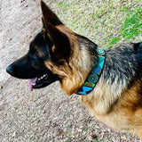 Dog Collar for German Shepherd